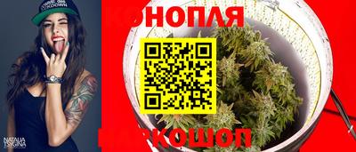 молекула духа Заводоуковск