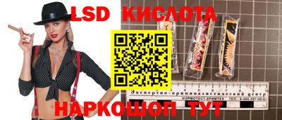 молекула духа Заводоуковск