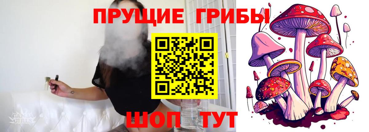 Псилоцибиновые грибы Cubensis Валуйки
