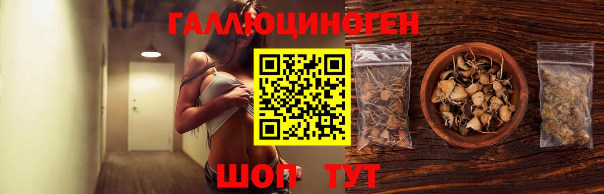 купить наркоту  Галлюциногенные грибы мицелий  Галлюциногенные грибы Psilocybe  Вход с VPN  Валуйки 